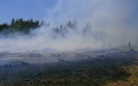 В Пензенской области начались первые природные пожары