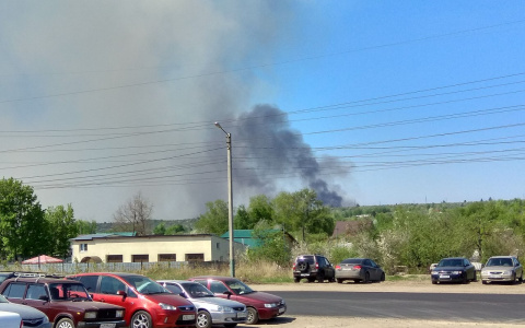 Читатели прислали фото и видео с пожара в Бессоновском районе