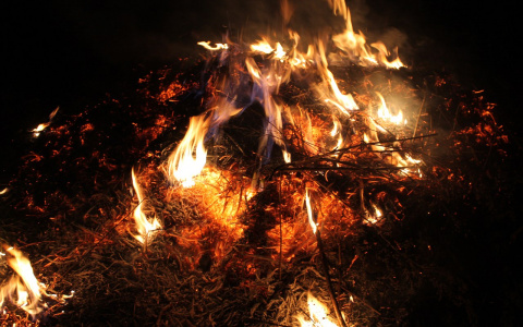 За сутки спасатели тушили пожары в нескольких районах Пензенской области