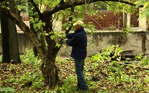 Губернатор призывает пензенцев выходить на субботники каждый месяц