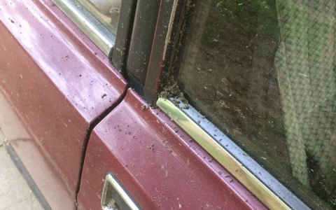 Дорожники забросали машину пензенца землей и асфальтом