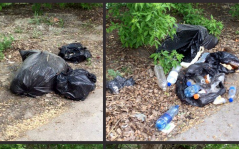 Залежи мусора на Песках уберут только после письма в администрацию