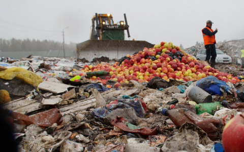 В Чемодановке уничтожили 170 килограмм груш, запрещенных в России