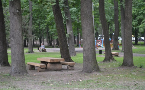 Для удобства пензенцев Олимпийскую аллею обработают от клещей ночью