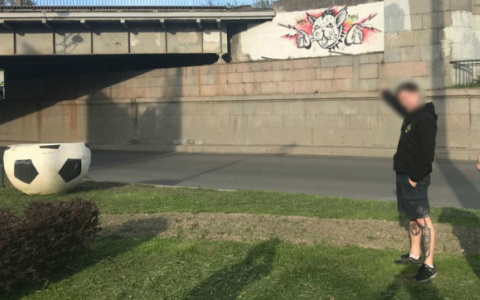 Пензенец получит срок за кота, нарисованного на мосту в Петербурге