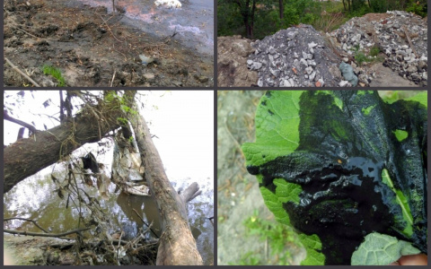 Плотина и лес на Шуисте стали резервуаром для строительного мусора