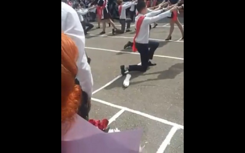 Голубь, упавший на землю на "Последнем звонке" в Пензе, оказался жив