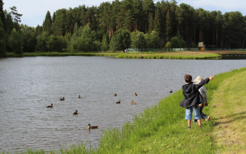 Пенза может потерять Ласточкин пруд