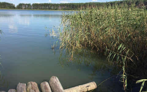 В Городищенском районе женщина утонула перед поминками своей матери
