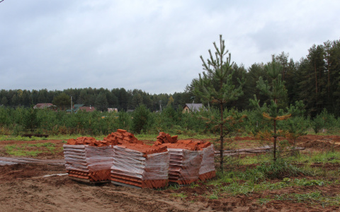Пропавшего без вести 23-летнего пачелмца нашли мертвым