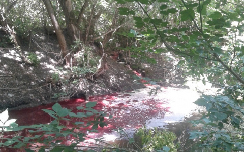 В Пензенскую область через полгода вернулась кровавая река