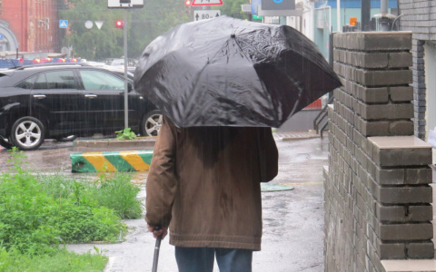 Как спасти урожай холодным летом и придет ли в Пензу тепло?