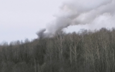 В Земетчинском районе более семи часов тушили горящий лес