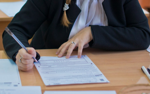 Девять выпускников получили 100 баллов на ЕГЭ по русскому языку