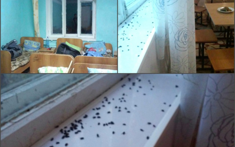 Антисанитария, отсутствие туалета, ржавая вода: отдых в лагере под Пензой