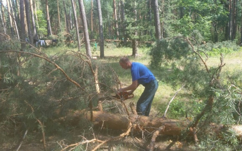 В "Белке" убрали все 32 дерева, упавших во время урагана