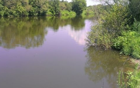 Тело парня, которого искали с 7 июля, вытащили из Суры