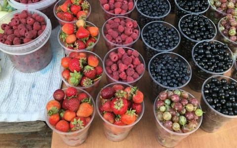 Почем в Пензе ягоды? Фотоподборка