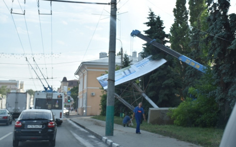 Поваленные деревья и билборд: В Пензе ликвидируют последствия урагана