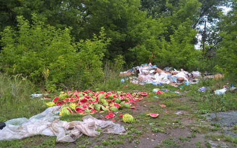 Берег Пензятки превращается в помойку - горожане