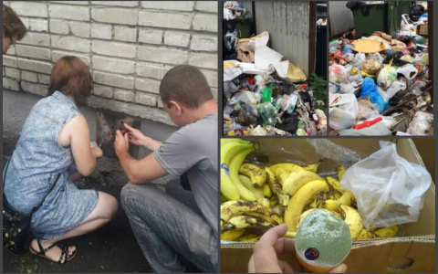 Пенза за день: замурованные животные, зараза на Окружной, "живые" апельсины