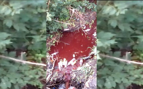 По Аустрина потекла багровая река, горожане бьют тревогу