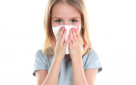 Компания "Чистый Дом" подготовит ваше жилье к приезду детей  с летнего отдыха