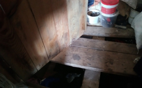 Малолетняя внучка проникла домой к бабушке и украла 30 тысяч рублей