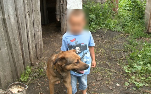 В Пензенской области пропавшего ребенка искали восемь часов