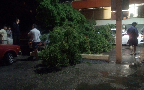 Последствия ливня в Пензе: фото и видео от горожан