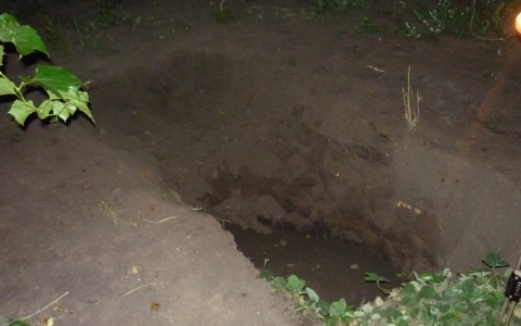 Квартирант придушил и бросил в погреб пензячку после сделки по продаже дома