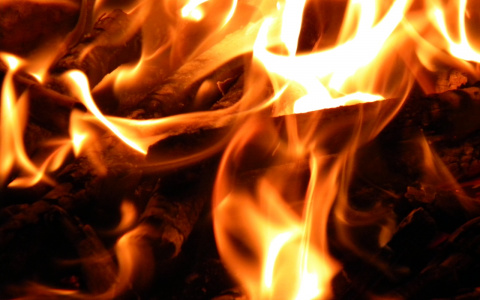 В Пензенской области 16 человек тушили горящий лес десять часов