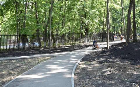 В Учительском сквере на Западной поляне появится спортплощадка