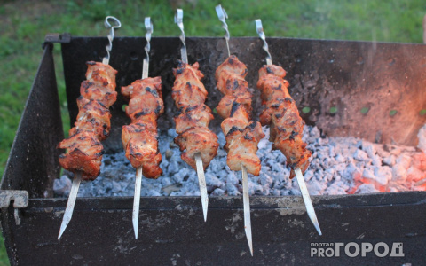 Двое жителей Сурска ответят за лошадь, которую украли и пустили на шашлык