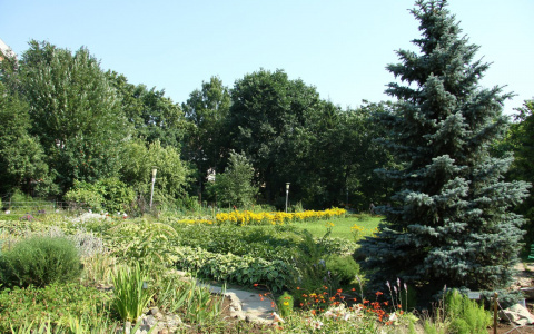 Погода в Пензенской области первого сентября