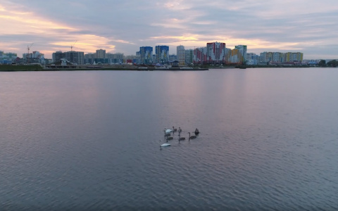 Женщина из Лунина приехала за мечтой в Спутник