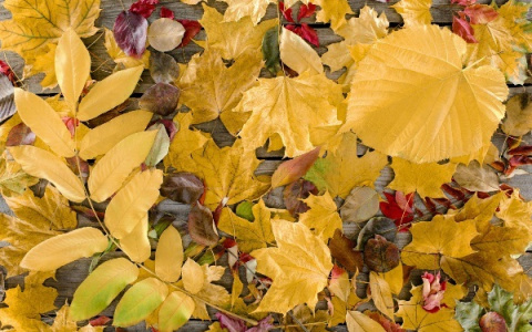 Самые дешевые квартиры в Пензе - осенний ТОП