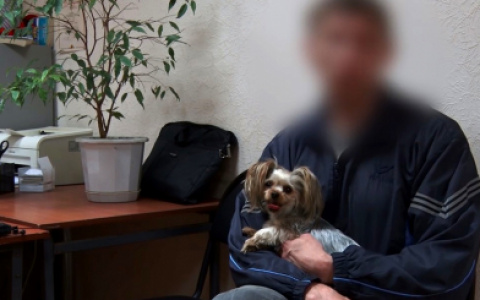 Пензенец украл у друзей йорка, а затем отдал его перекупщику