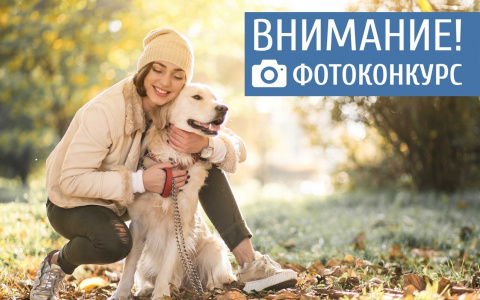 "Сами с усами": фотоконкурс для читателей "Pro Город"