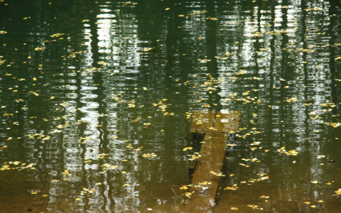 Прогноз погоды в Пензенской области 16 октября