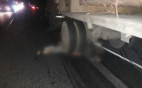 "Дорога в трупах": на трассе М-5 произошло смертельное ДТП с большегрузами