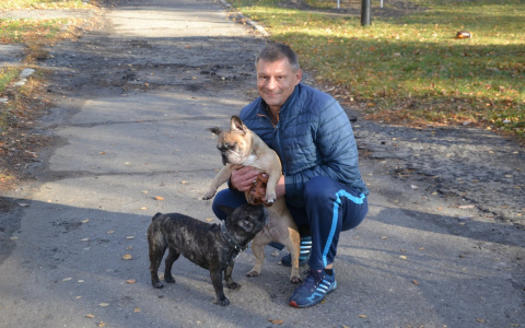 Намордники и спецплощадки: ужесточение правил для пензенских собаководов