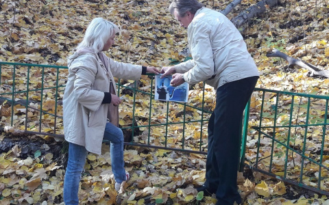 Убрали родник у пензенского стадиона