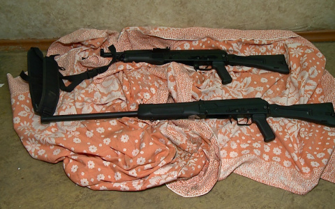 Полицейские задержали пензенца, стрелявшего в окно жилого дома