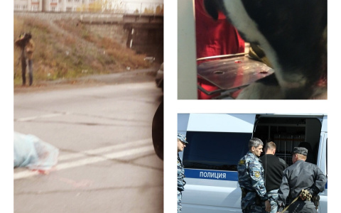 Пенза за день: Сбитый мужчина, покалеченная собака, задержание в Заречном