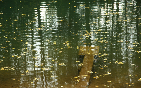 Прогноз погоды в Пензенской области на 24 октября