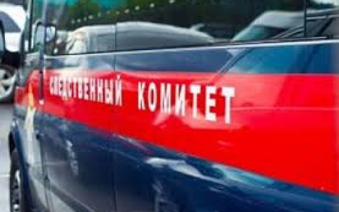 В пензенском лесу заблудились 7-летний мальчик с дедушкой