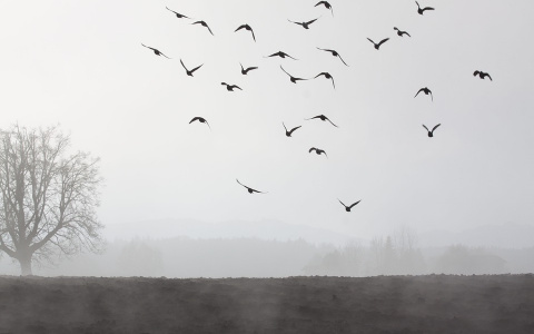 Какой погоды ждать в Пензе во второй день ноября?