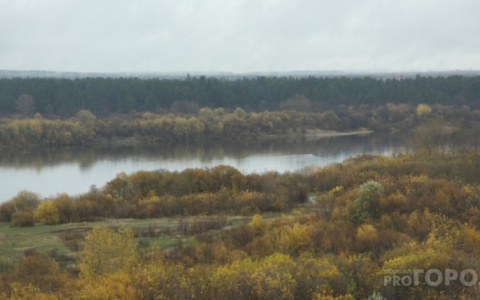 Какая погода будет в Пензе в понедельник?