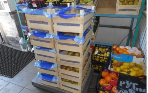 На полигоне под Пензой раскатали экскаватором 129 кг  фруктов